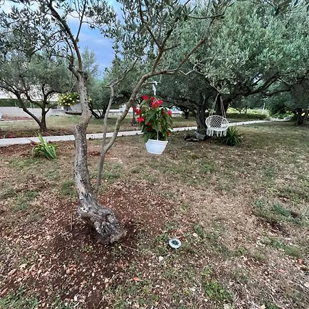 Apartman Oliva Zára
