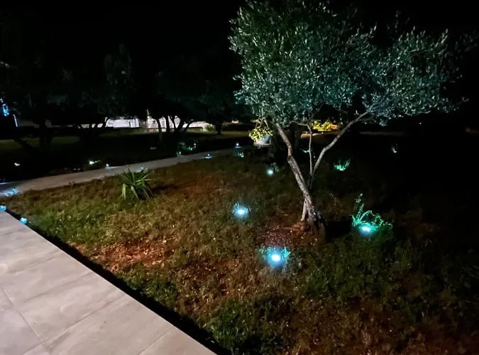 Lejlighed Oliva Zadar