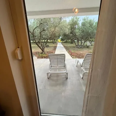 Oliva * Zadar