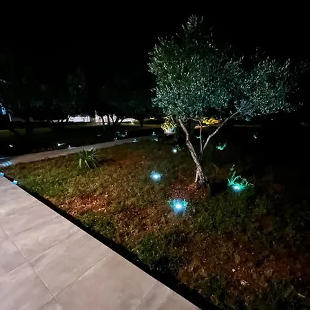 Apartment Oliva Zadar