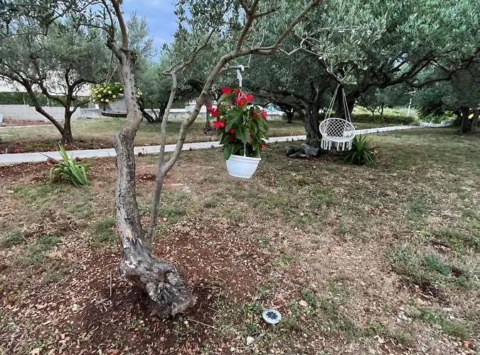 Apartment Oliva Zadar